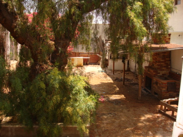 Rear Yard Before 2nd View