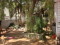 Rear Yard