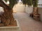 Rear Yard 2nd View