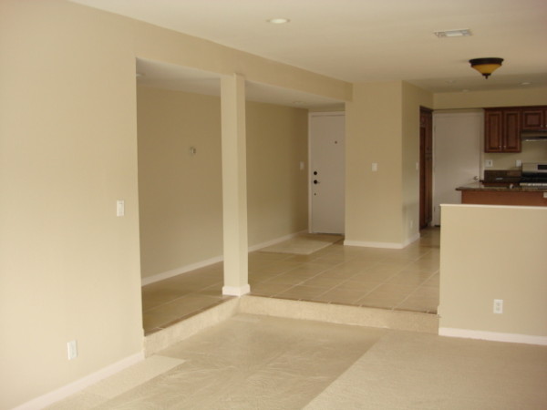 Living Room 2nd View After