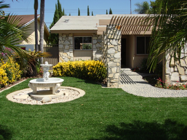 Front Yard