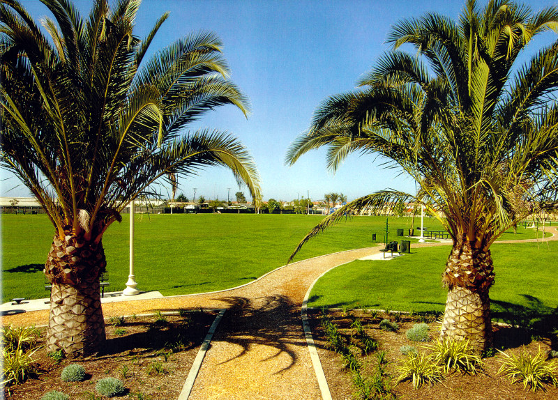 Loking Towards Basketball Court