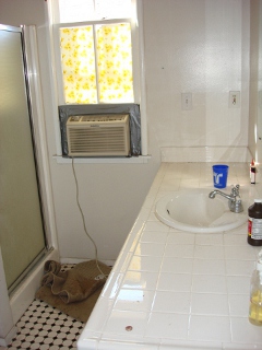 Master Bathroom Sink Before