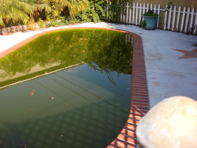 Pool Before